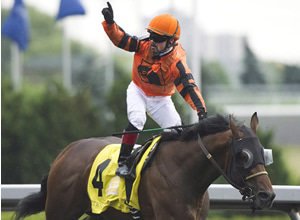 gagnant turf
