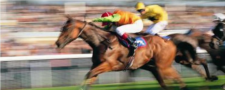 turf pronostic